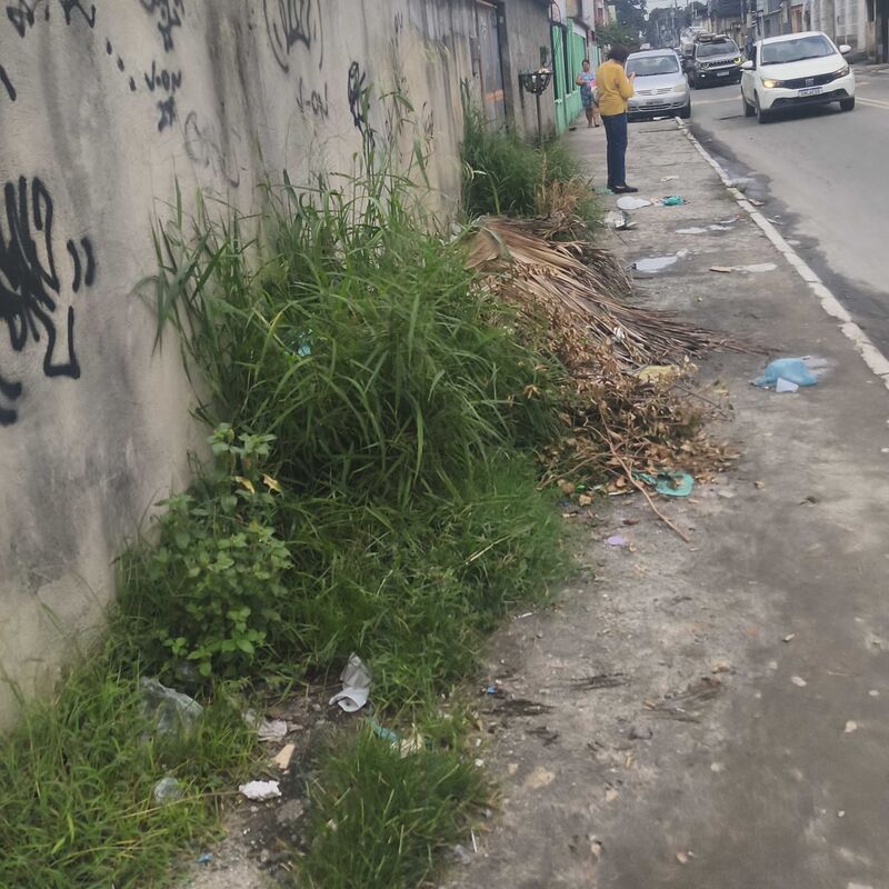 Imagem da publicação