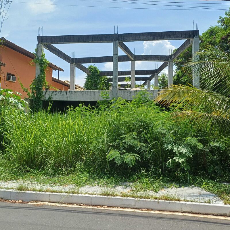 Imagem da publicação