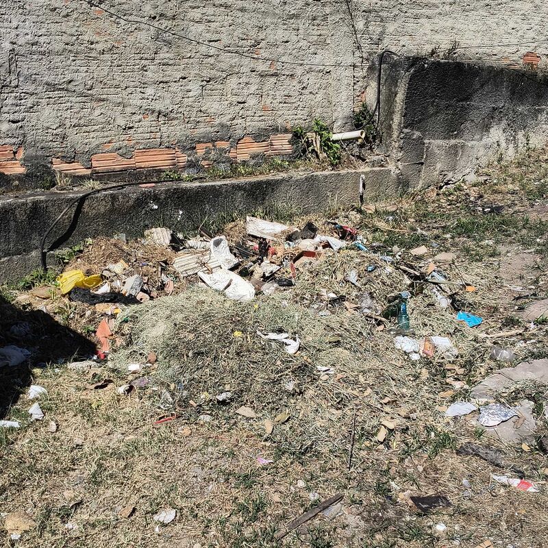 Imagem da publicação