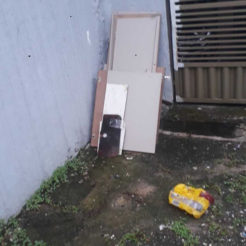 Imagem da publicação