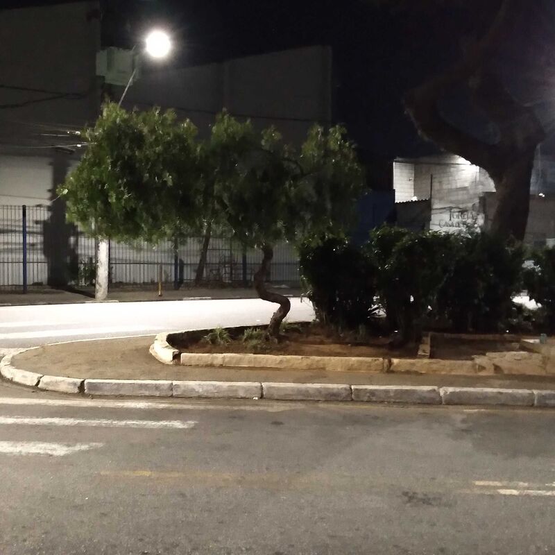 Imagem da publicação