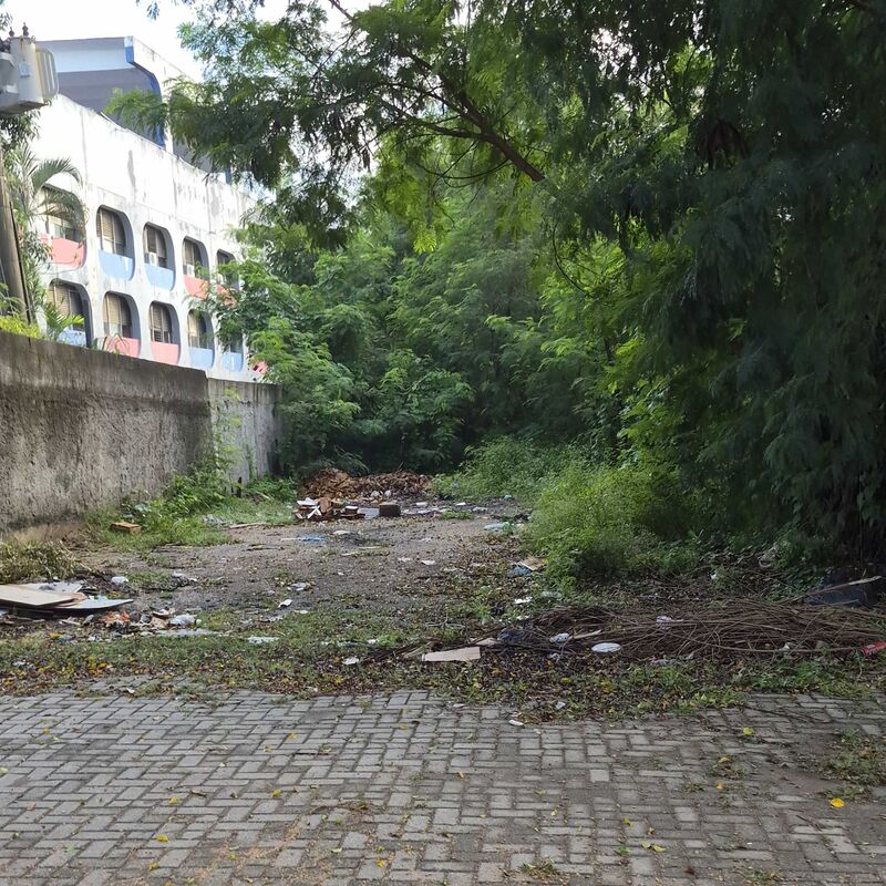 Imagem da publicação