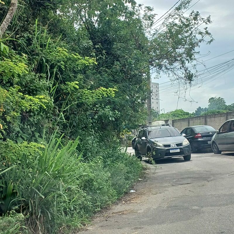 Imagem da publicação