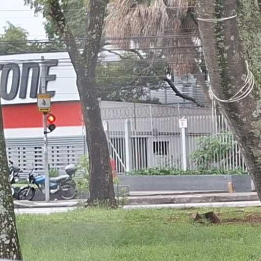 Imagem da publicação