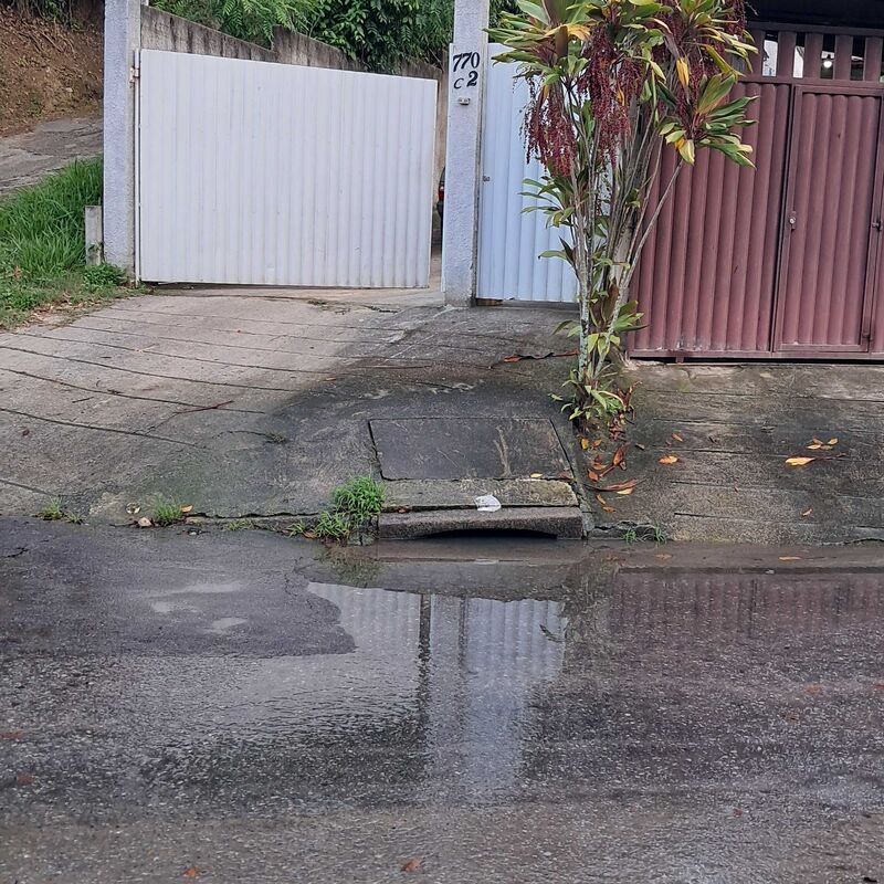 Imagem da publicação