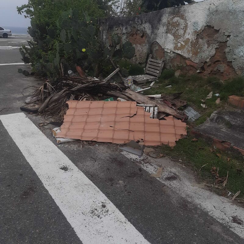 Imagem da publicação