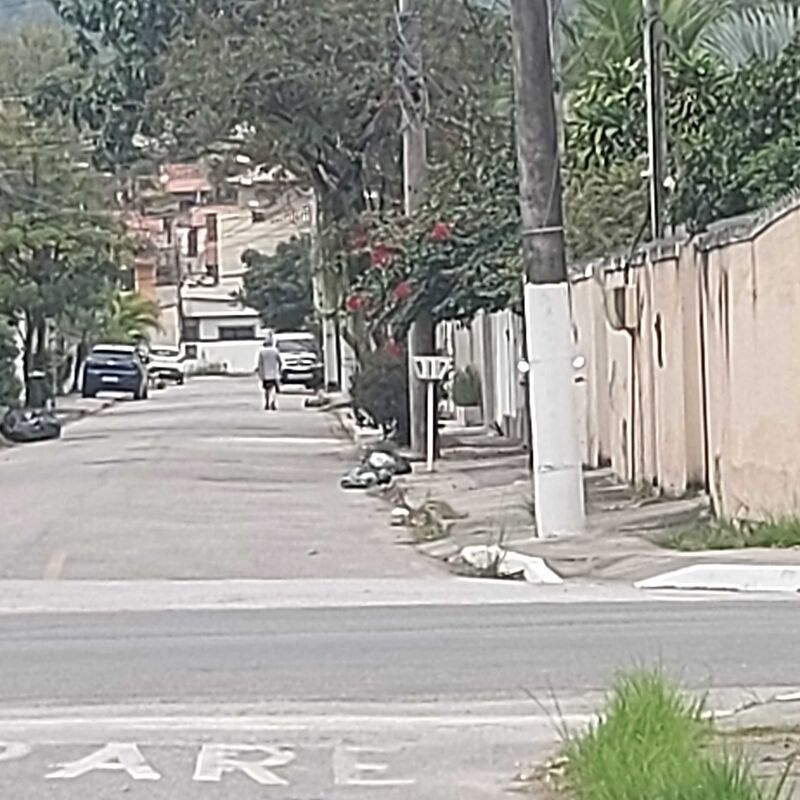 Imagem da publicação