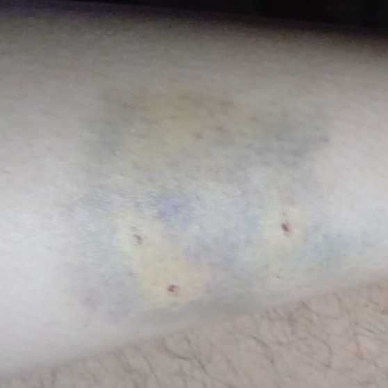 Imagem da publicação