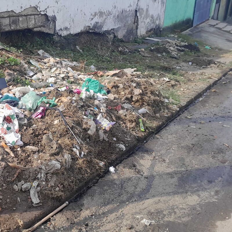 Imagem da publicação