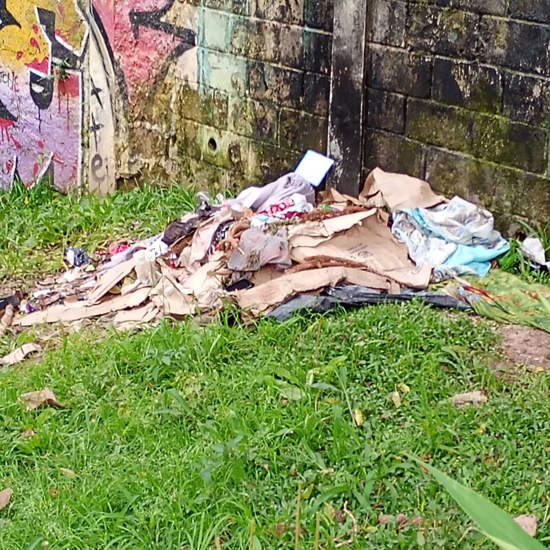 Imagem da publicação