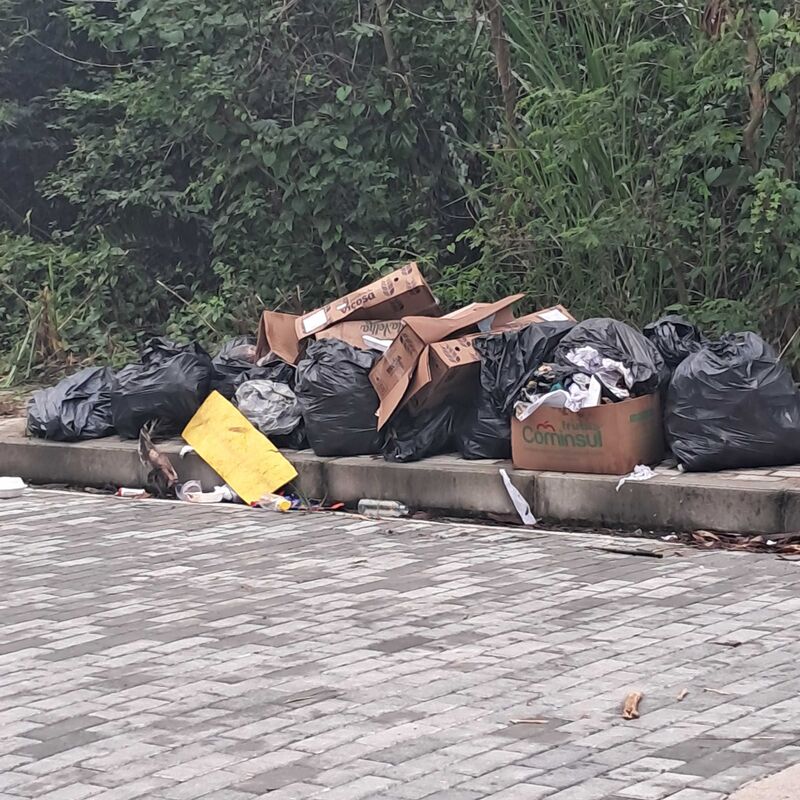 Imagem da publicação