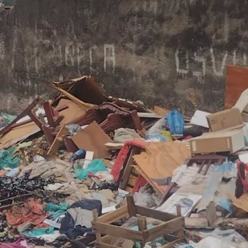 Imagem da publicação