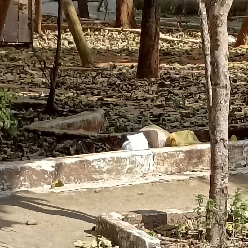 Imagem da publicação
