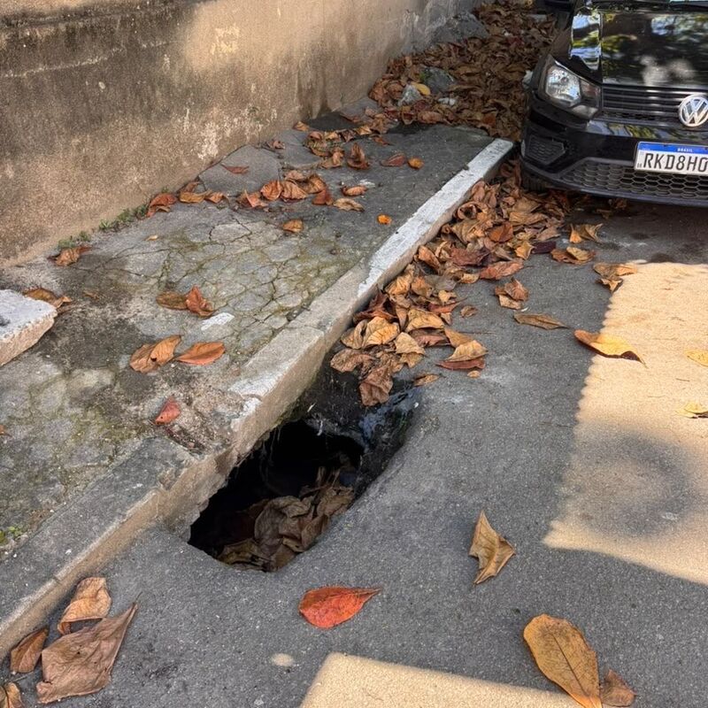 Imagem da publicação