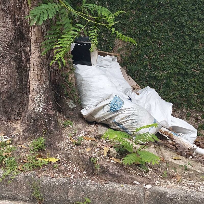 Imagem da publicação