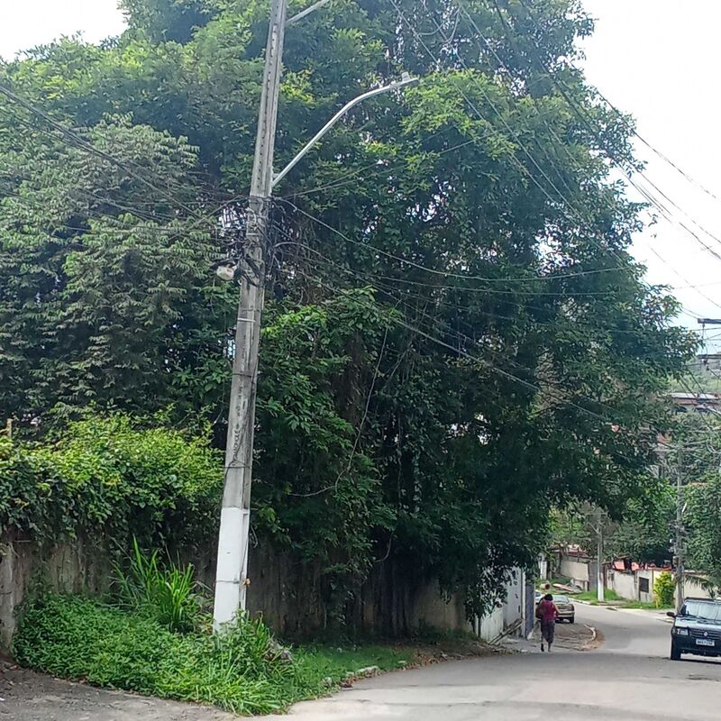 Imagem da publicação