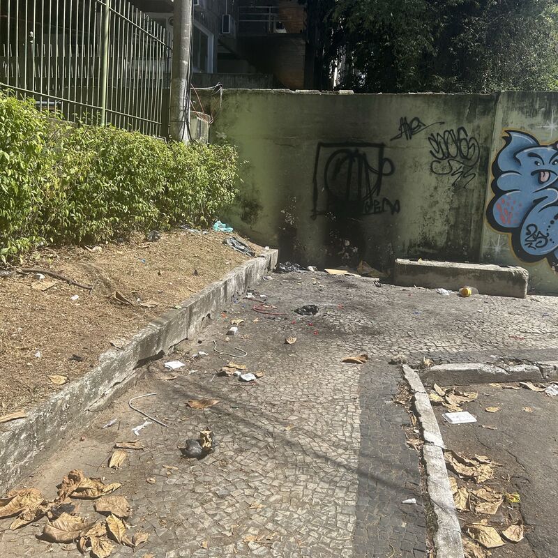 Imagem da publicação