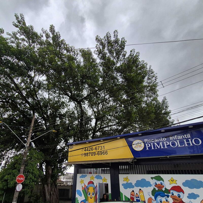 Imagem da publicação