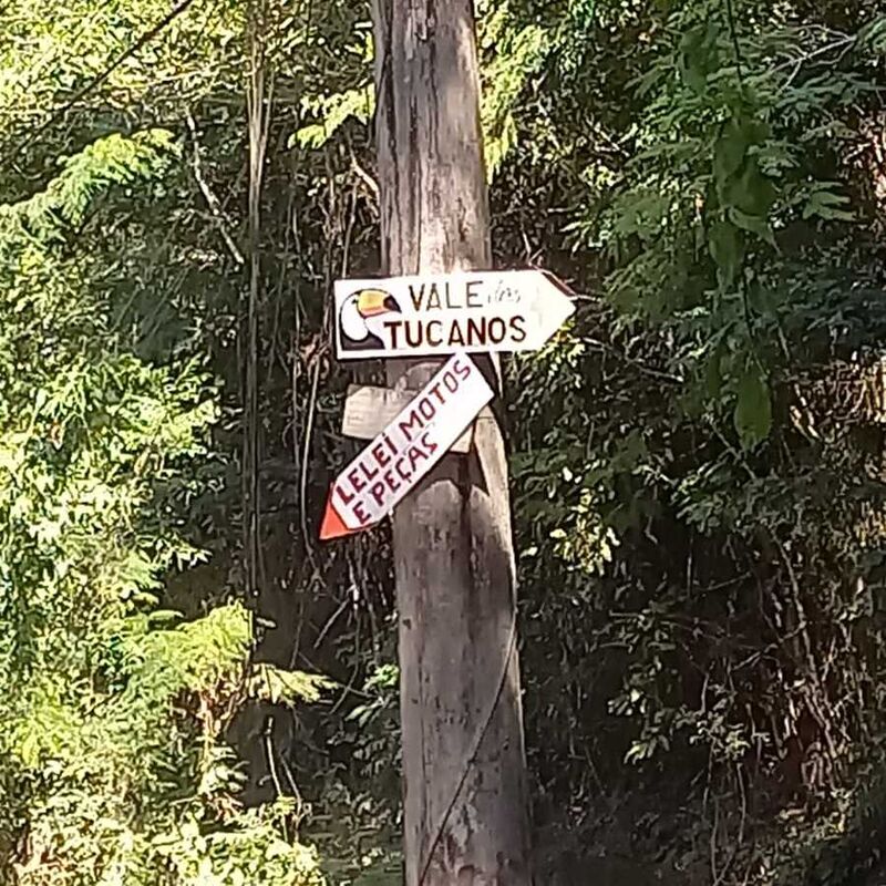 Imagem da publicação