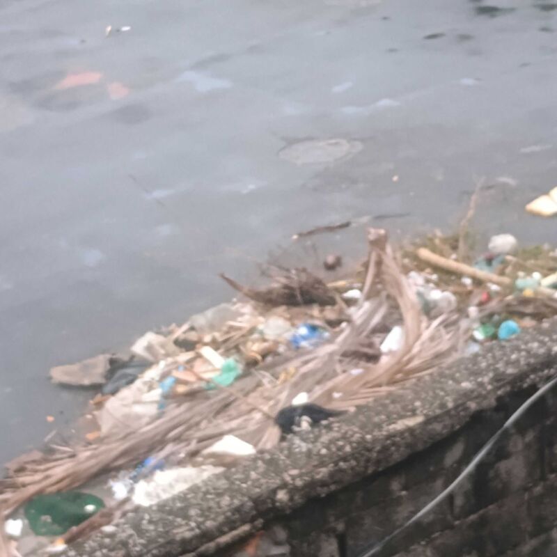 Imagem da publicação