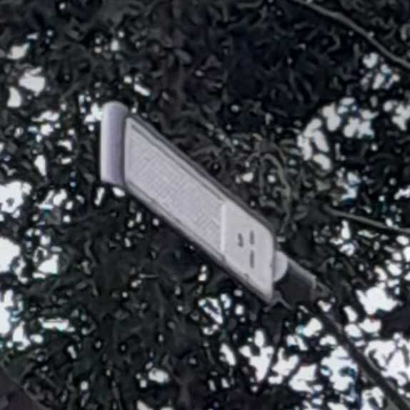 Imagem da publicação