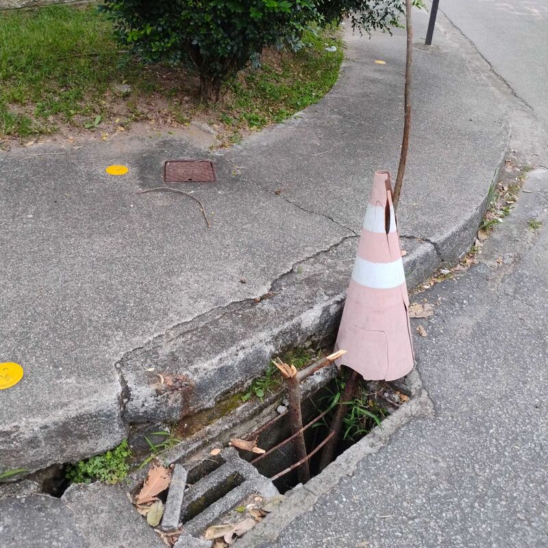 Imagem da publicação