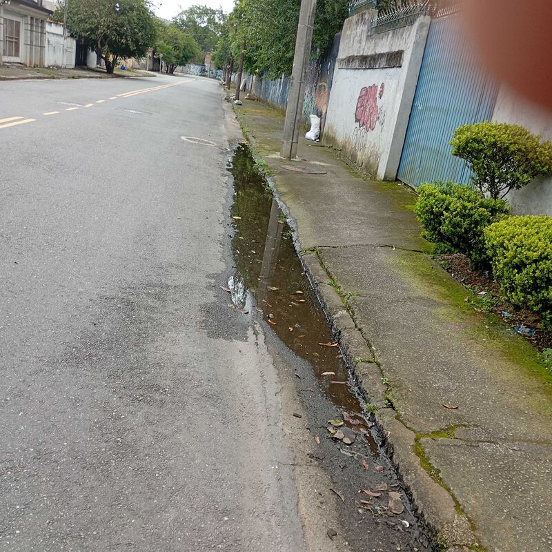 Imagem da publicação
