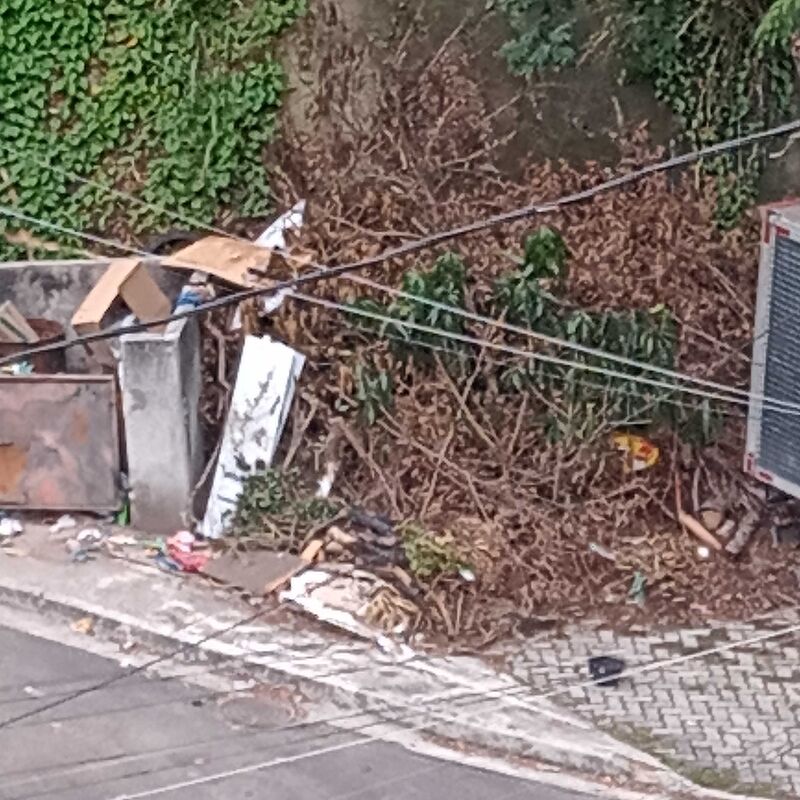 Imagem da publicação