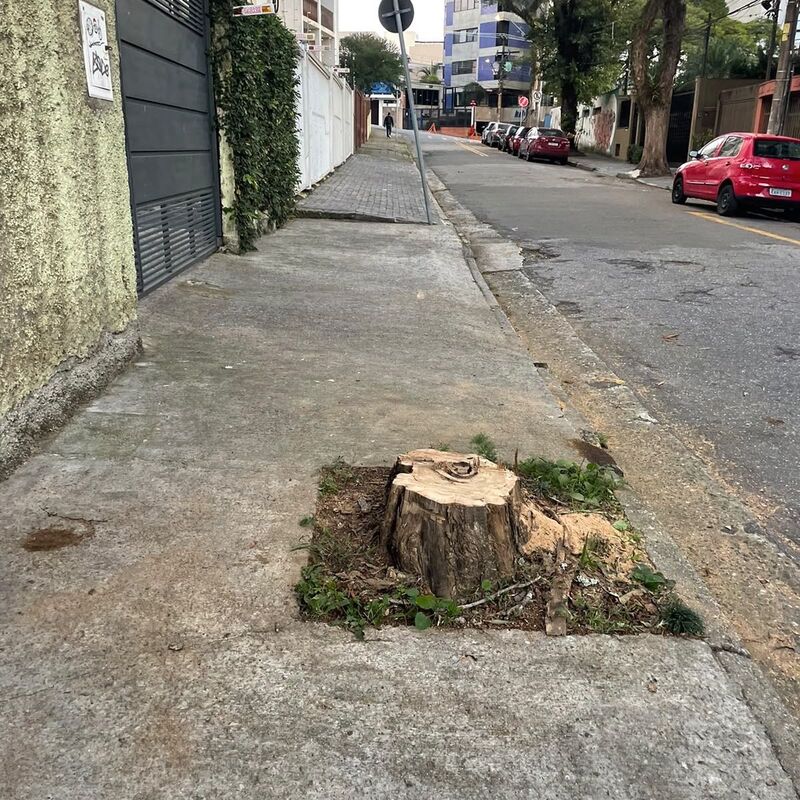 Imagem da publicação