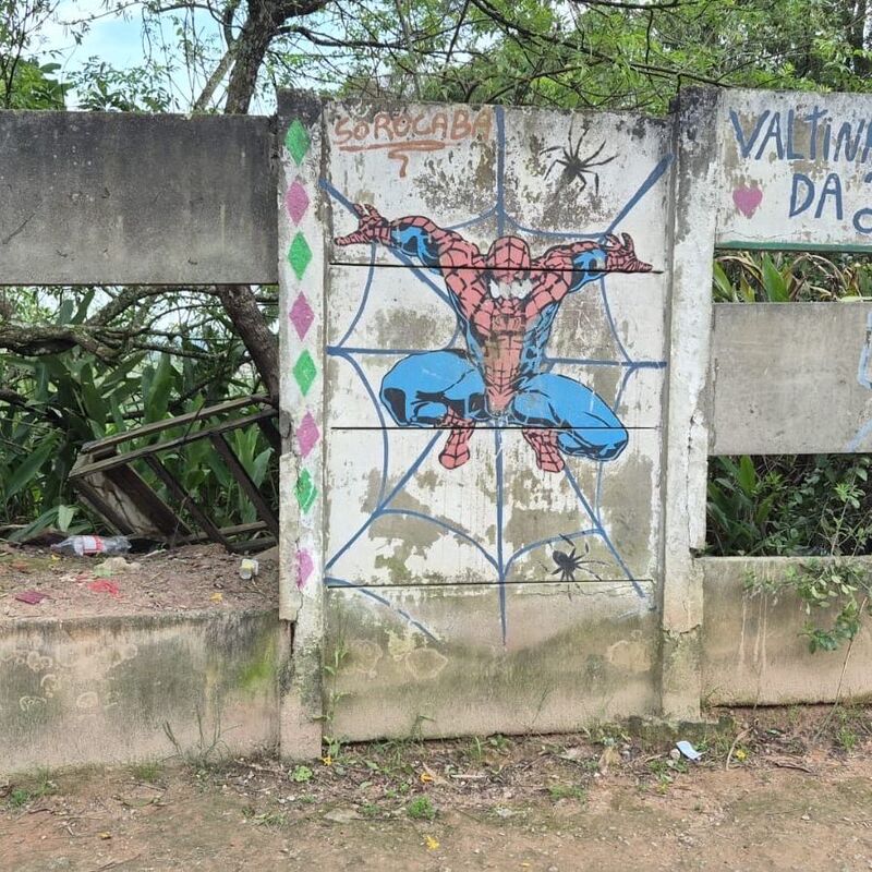 Imagem da publicação