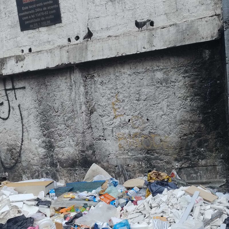 Imagem da publicação