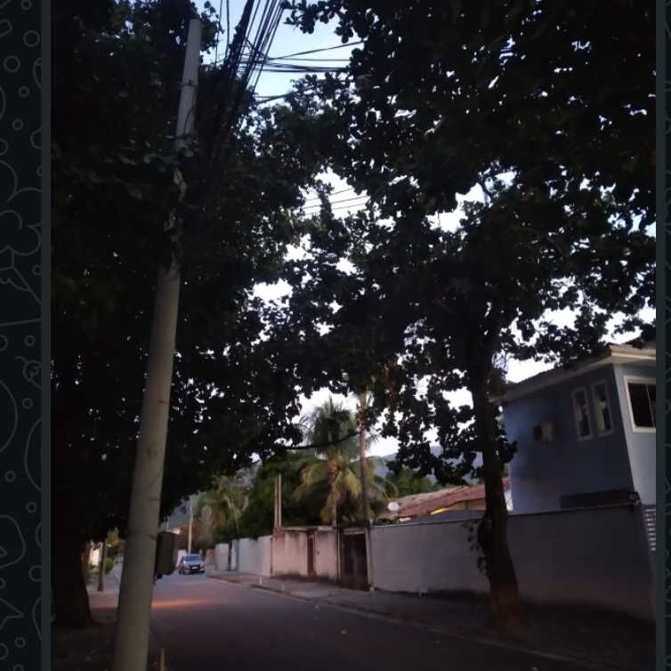 Imagem da publicação