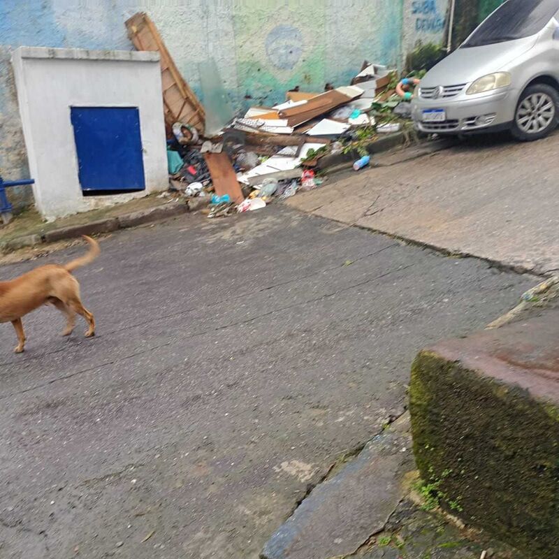 Imagem da publicação