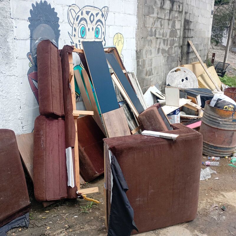 Imagem da publicação