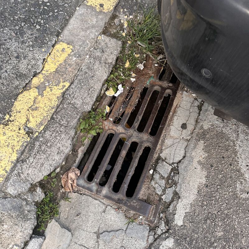 Imagem da publicação