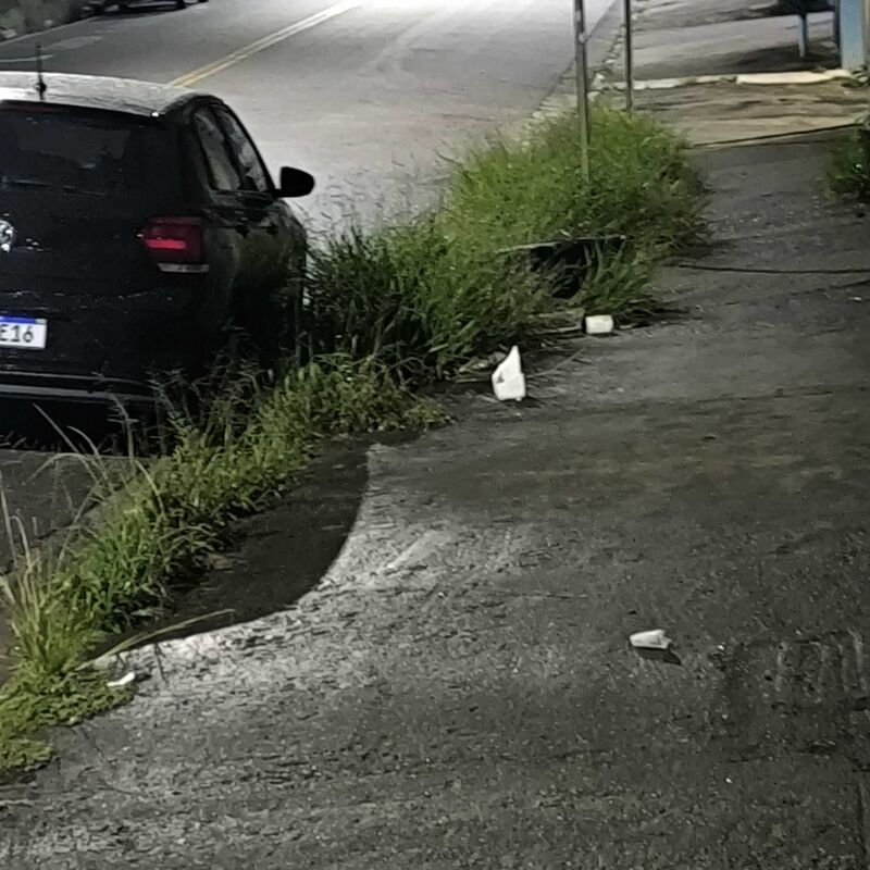 Imagem da publicação