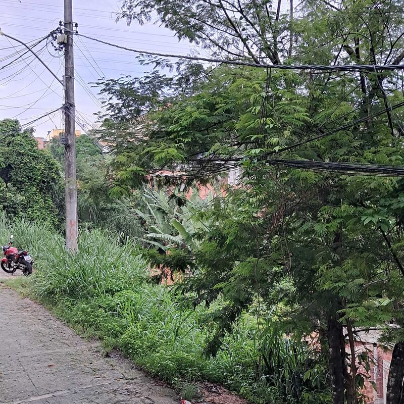 Imagem da publicação