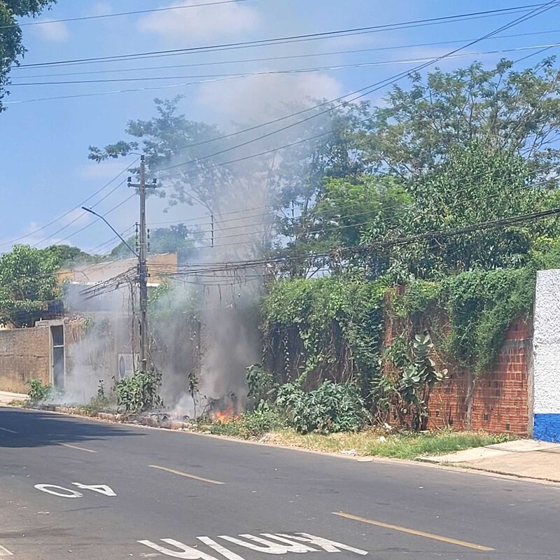 Imagem da publicação