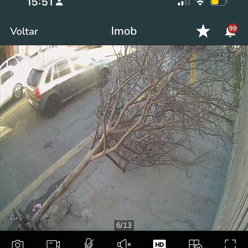 Imagem da publicação