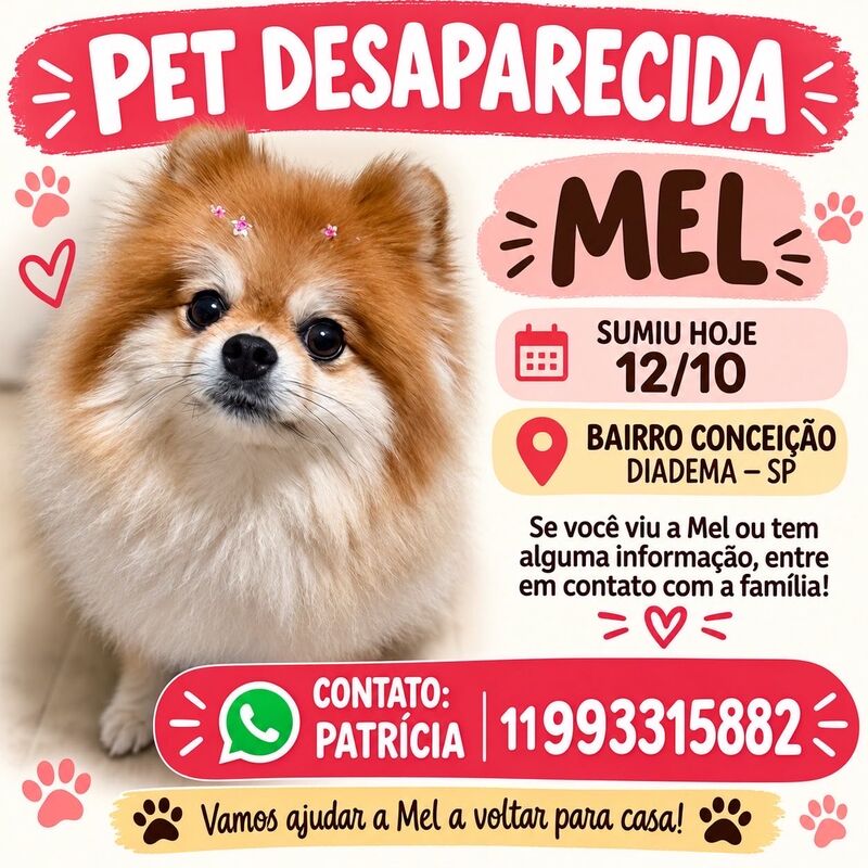 Imagem da publicação