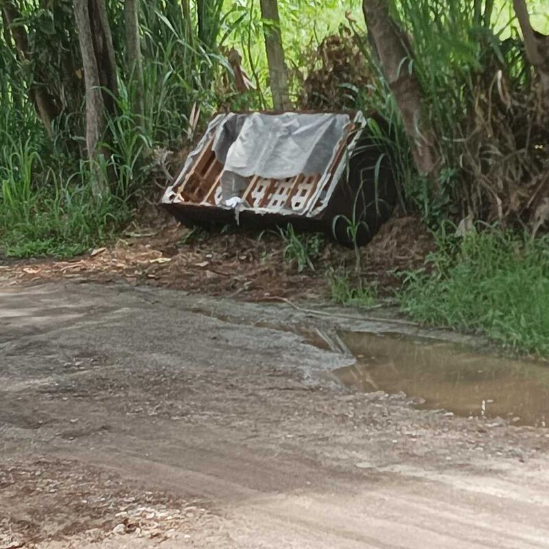 Imagem da publicação