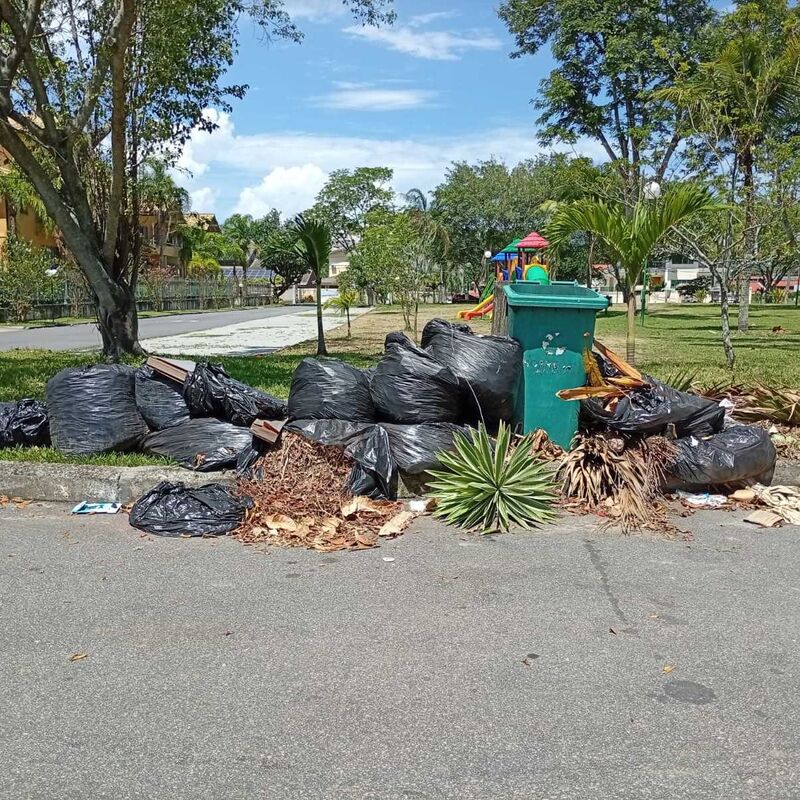 Imagem da publicação