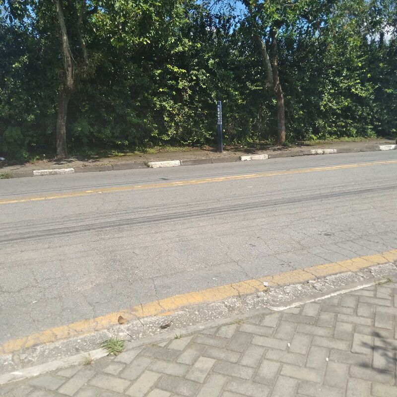 Imagem da publicação