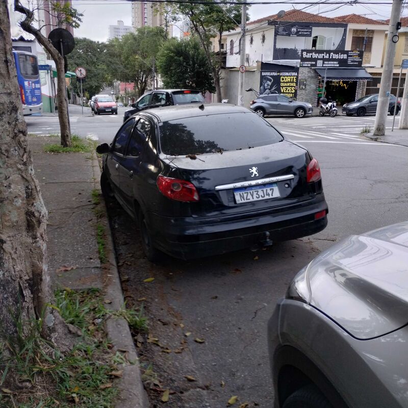 Imagem da publicação