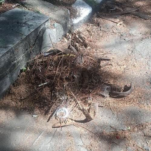 Imagem da publicação