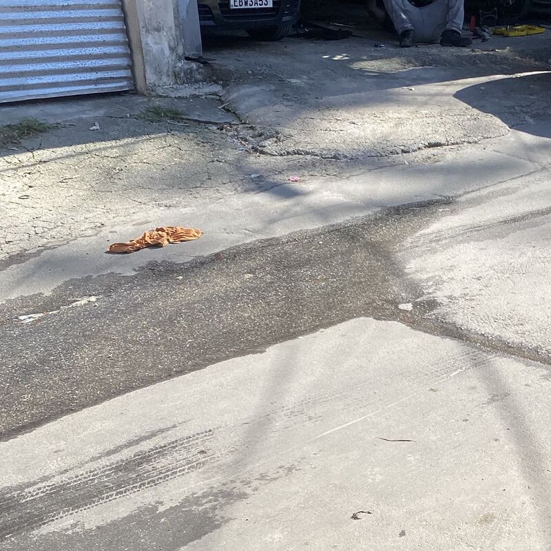 Imagem da publicação