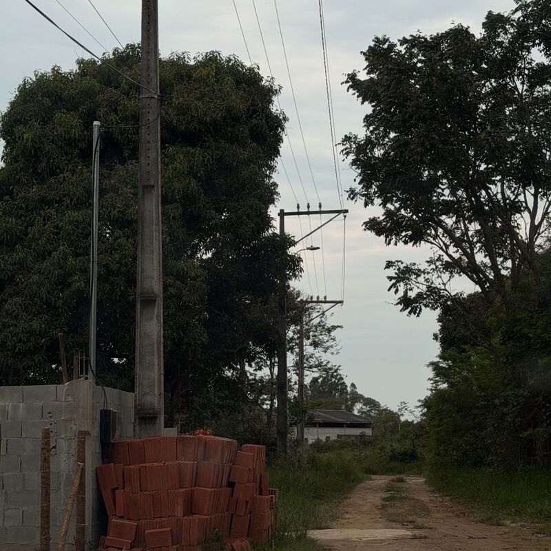 Imagem da publicação