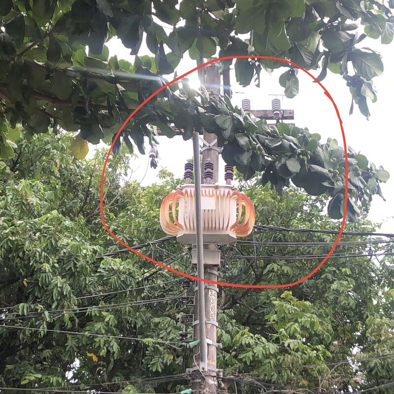 Imagem da publicação