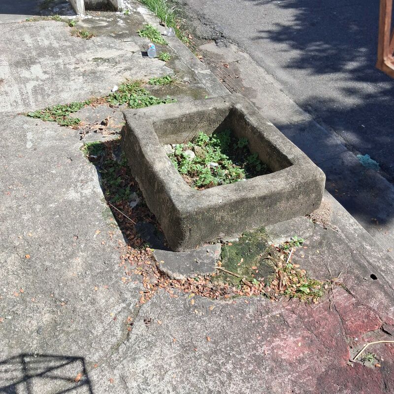 Imagem da publicação