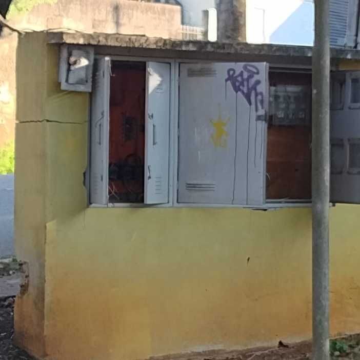 Imagem da publicação